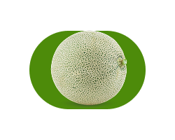 Melón